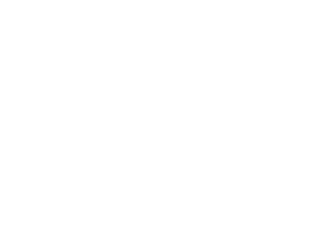 Minneapolis St. Paul International Film Festival