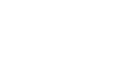 Palm Beach International Film Festival