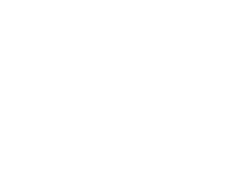 Provincetown International Film Festival