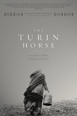 The Turin Horse poster